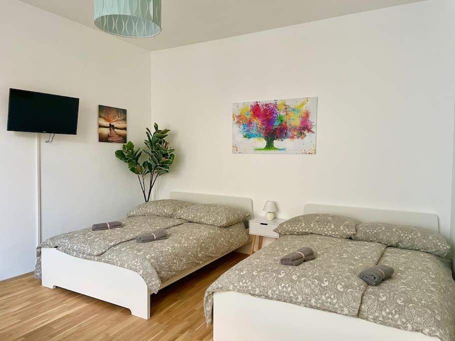 Sunny 60 M2 - Free Parking - Free Netflix *