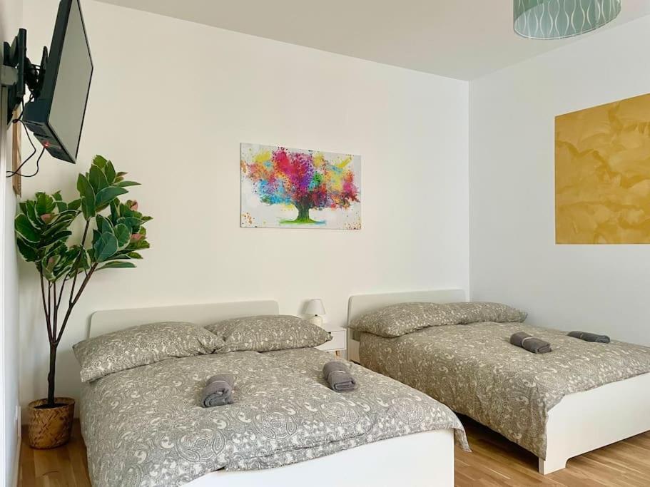 Sunny 60 M2 - Free Parking - Free Netflix *
