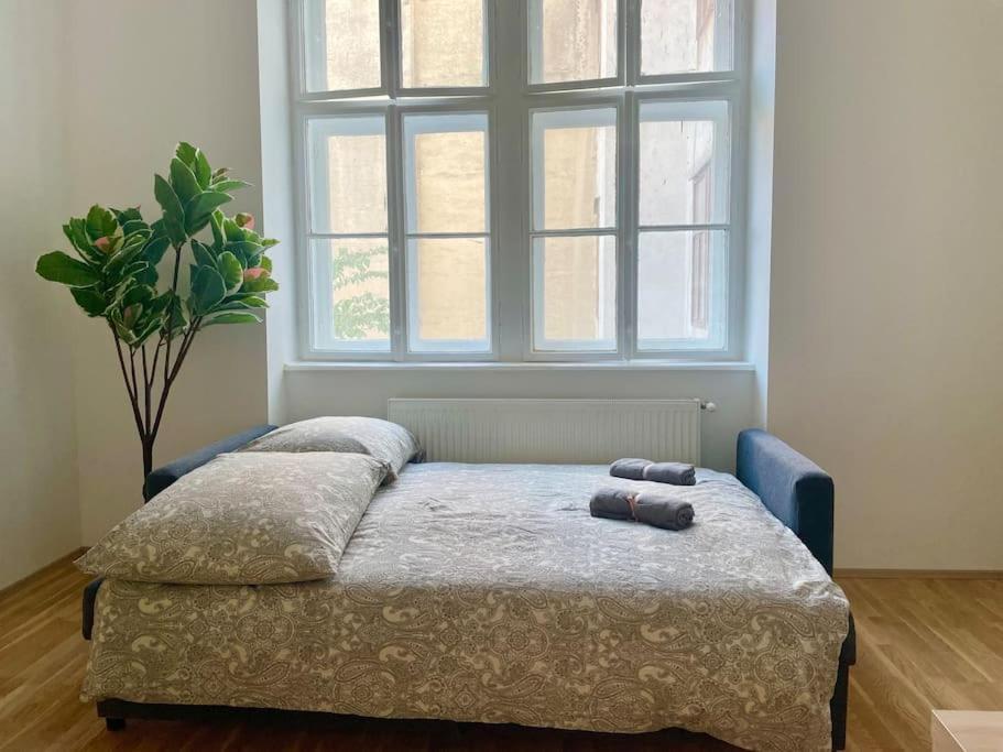 Apartment Sunny 60 M2 - Free Parking - Free Netflix